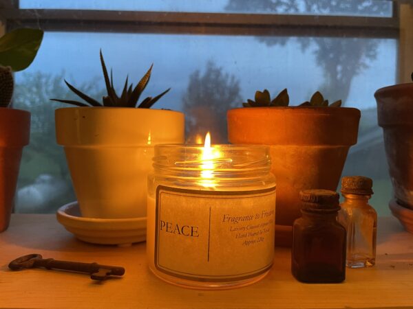 Luxury Coconut Apricot Candle - Image 2